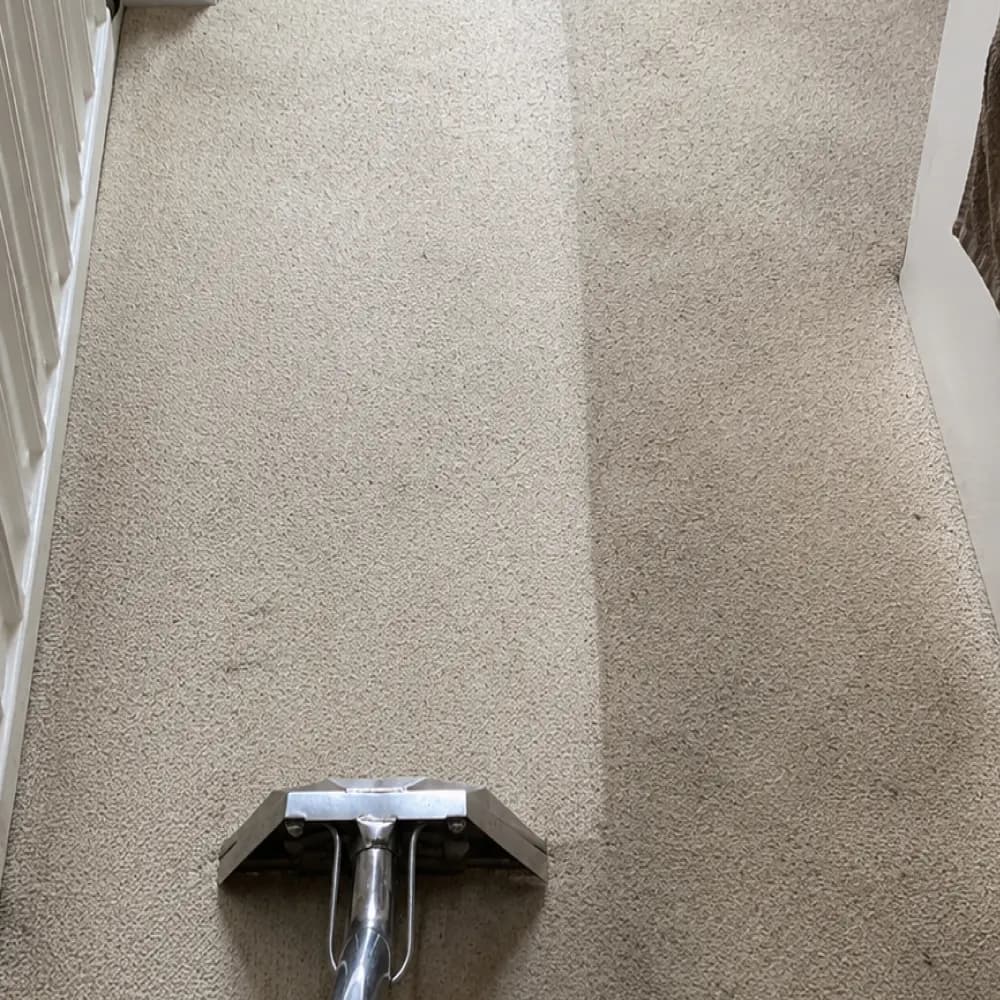 A carpet being professionally cleaned with an extraction wand