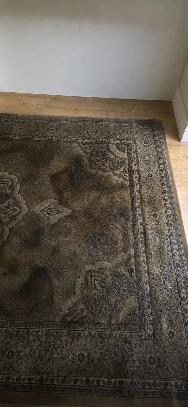A patterned rug before professional cleaning